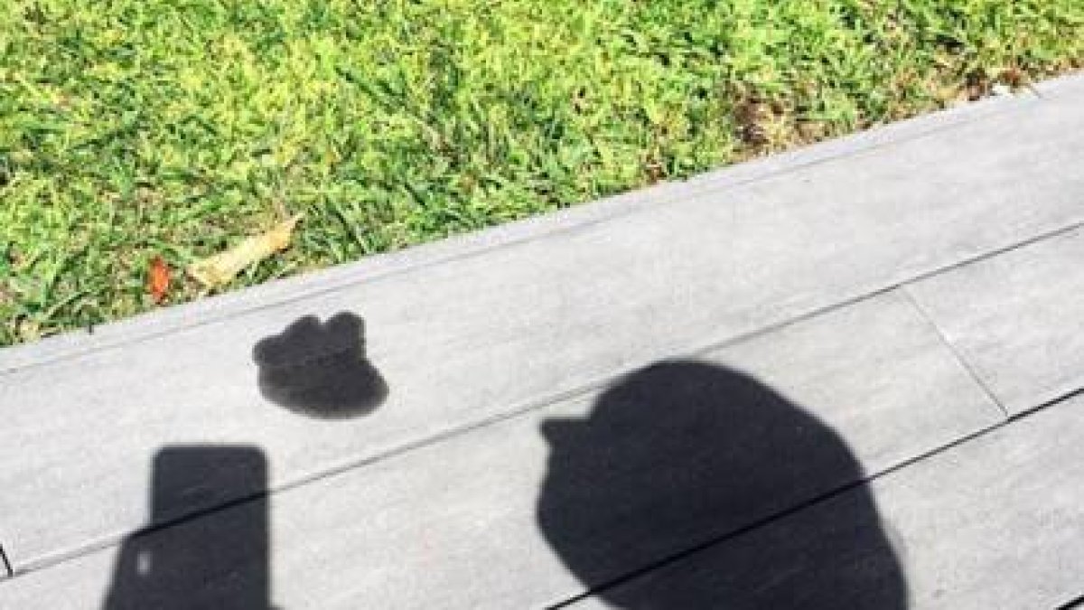 La imagen de la discordia que Nuria Roca publicó en su Instagram el pasado domingo.-INSTAGRAM