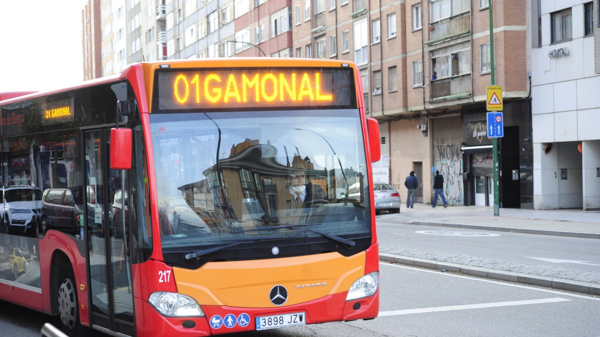 El PP pide prolongar hasta verano el cambio de las tarjetas de autobús. ECB