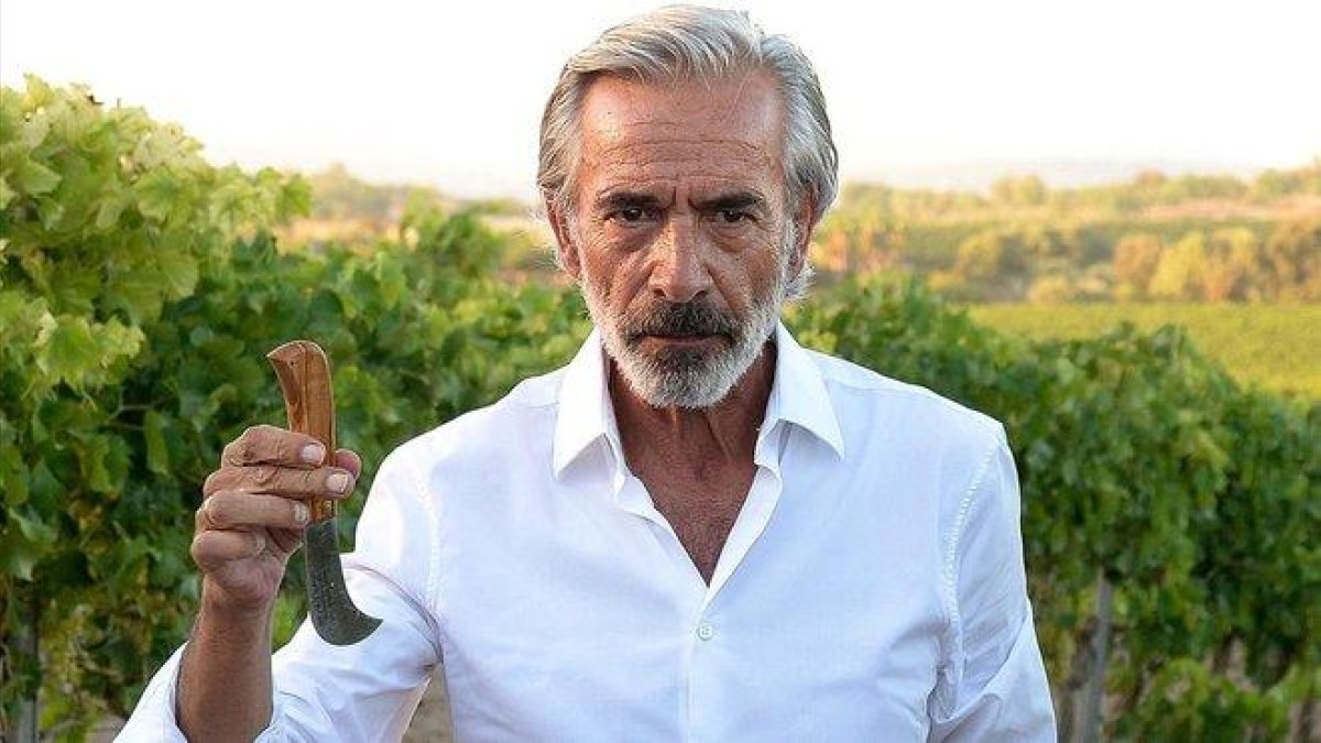 Imanol Arias, vendimiador de honor en Manacor.-GTRES