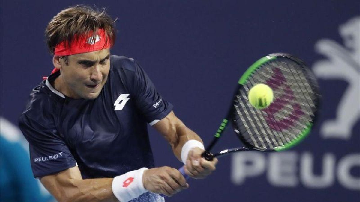Ferrer, en acción en un momento del partido ante Zverev.-RHONA WISE (EPA)