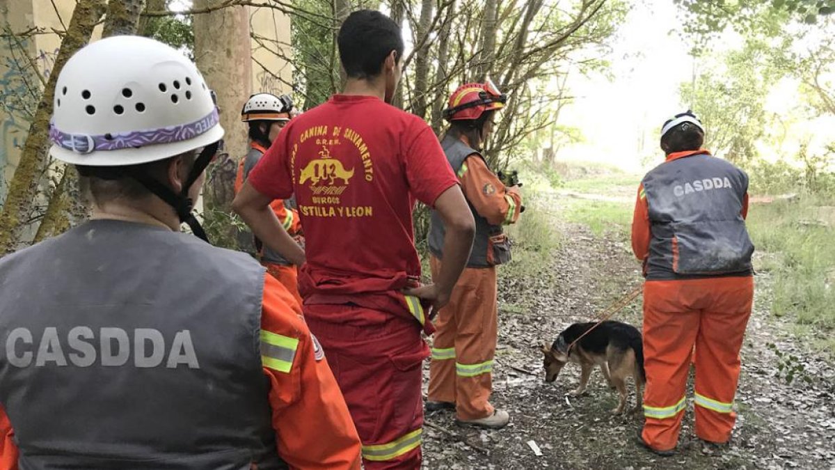 Miembros del GREM y de la asociación de perros de búsqueda deCánada, durante un entrenamiento.-GREM