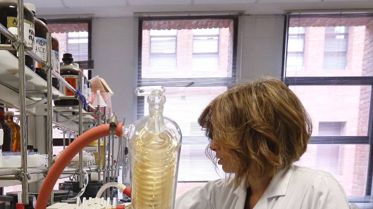 Una alumna de la Universidad trabaja en uno de los laboratorios.-RAUL G. OCHOA