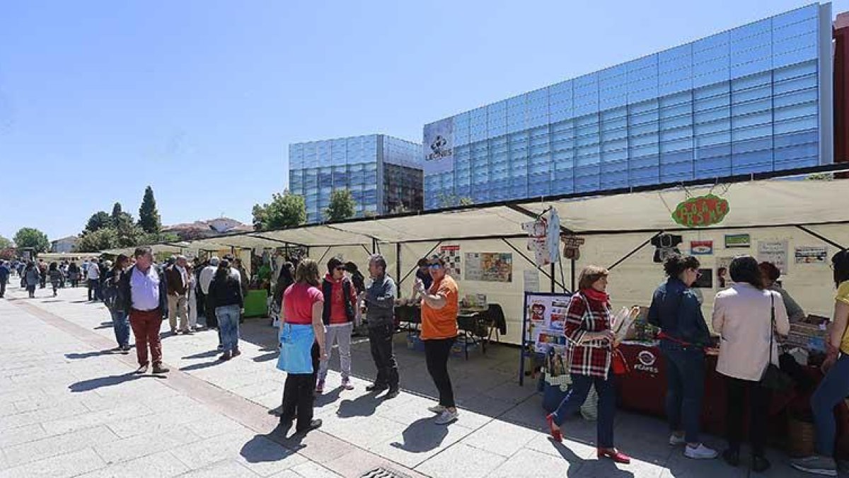 La feria se instaló en el paseo de Atapuerca, por el que pasaron decenas de personas para conocer la oferta del comercio justo.-RAÚL OCHOA