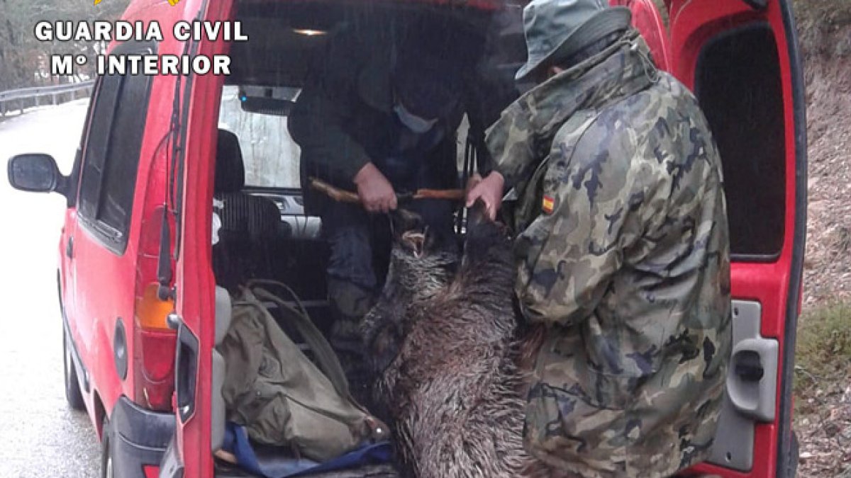 Ambos carecían de autorización para dicha actividad y el autordel disparo de permiso de armas. GUARDIA CIVIL.