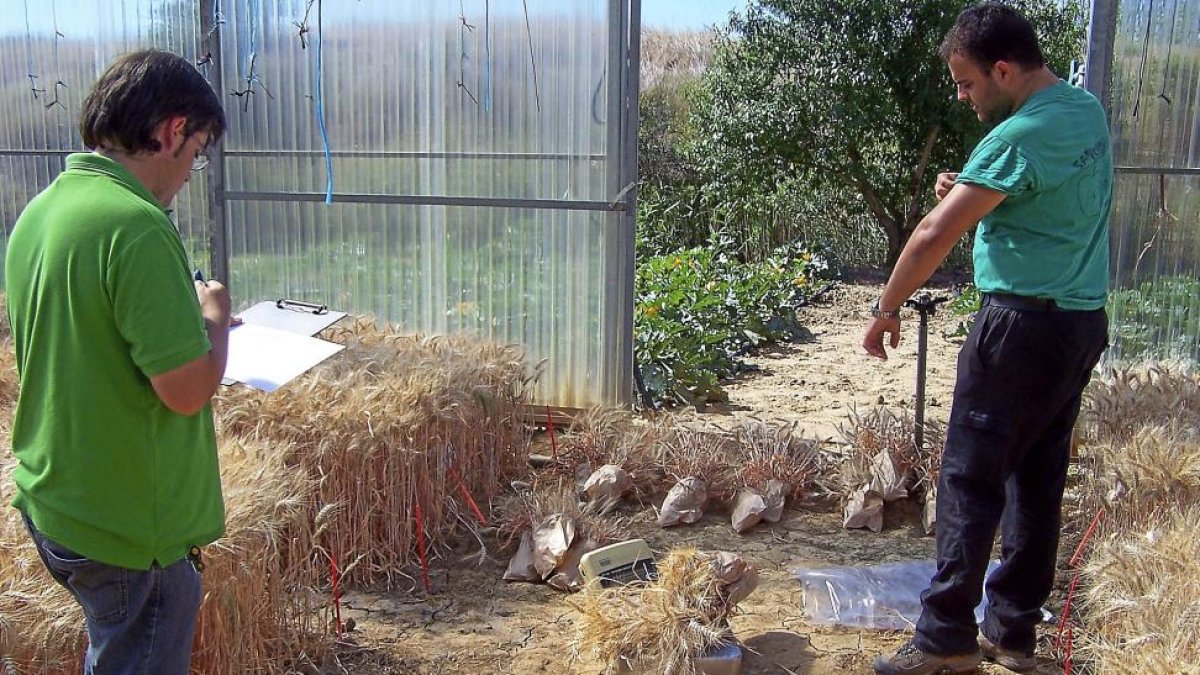 Imágenes de las instalaciones del Centro Tecnológico Agrario y Agroalimentario (Itagra).-ICAL