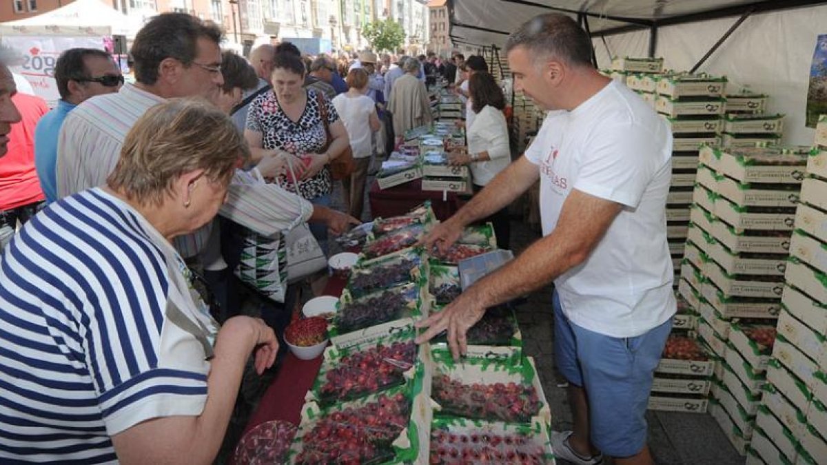 La cita con el fruto protagonista del verano, que se produce en el Valle de las Caderechas, se celebró en La Flora.-ISRAEL L. MURILLO