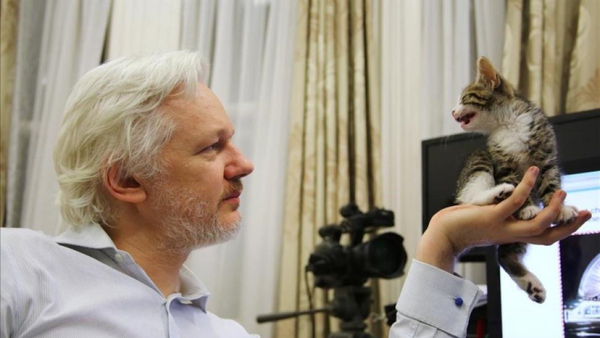 El fundador de WikiLeaks, Julian Assange, en la Embajada ecuatoriana en Londres.-REUTERS