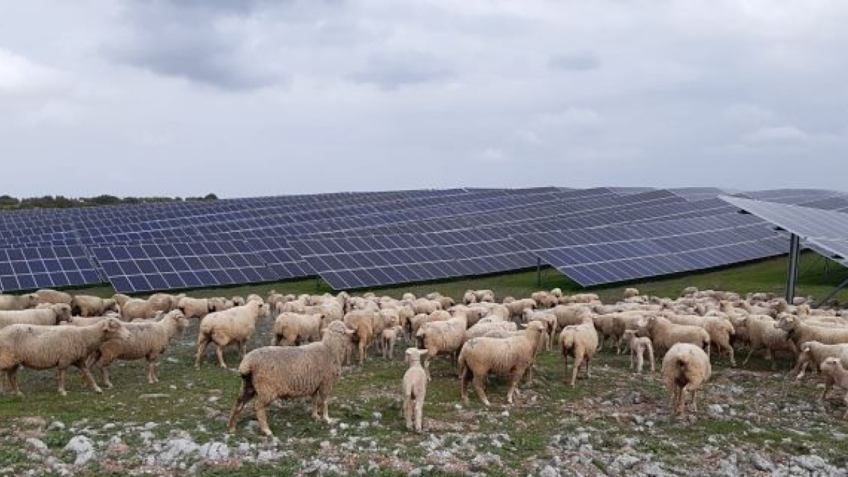 Imagen de archivo de una planta fotovoltaica.