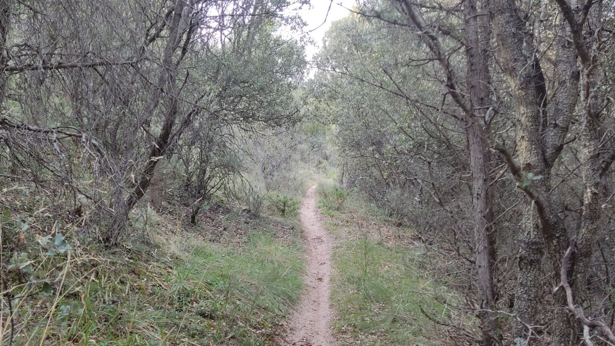 Parque Natural Sabinares del Arlanza-La Yecla. JCyL