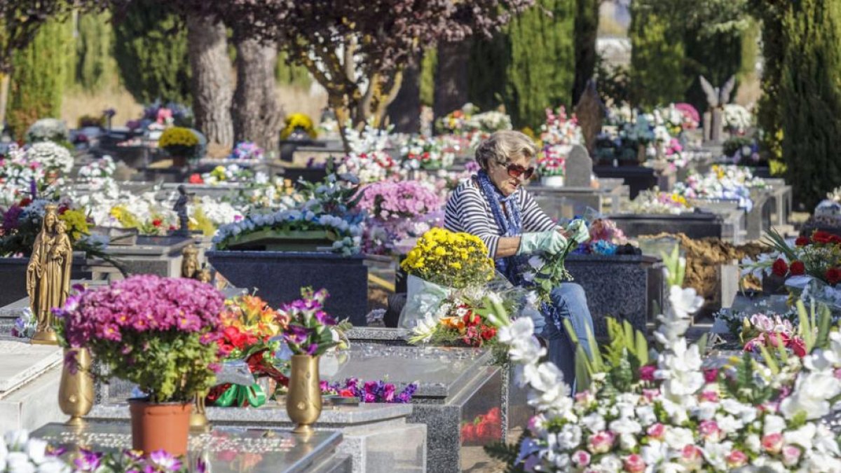 Una mujer arregla la sepultura de sus familiares en soledad con decenas de flores y tumbas a su alrededor.-ISRAEL L. MURILLO