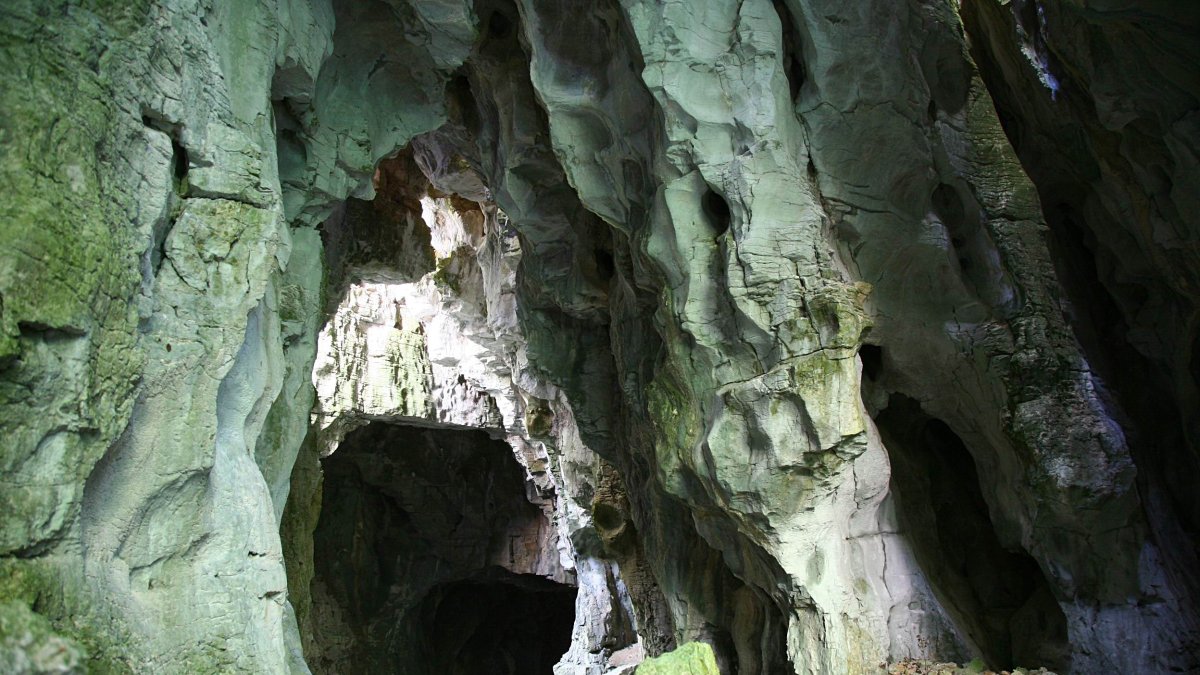 La covanería en el complejo kárstico de Ojo Guareña. ECB