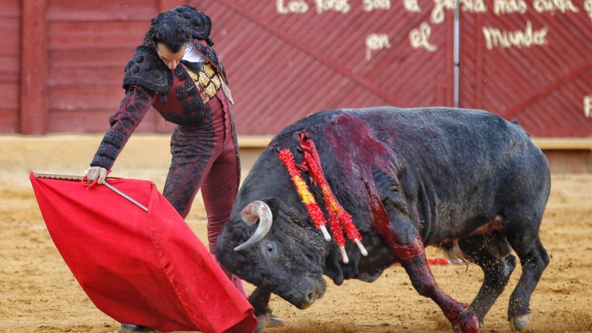 Morenito de Aranda, durante un festejo en Estepona. ARJONA