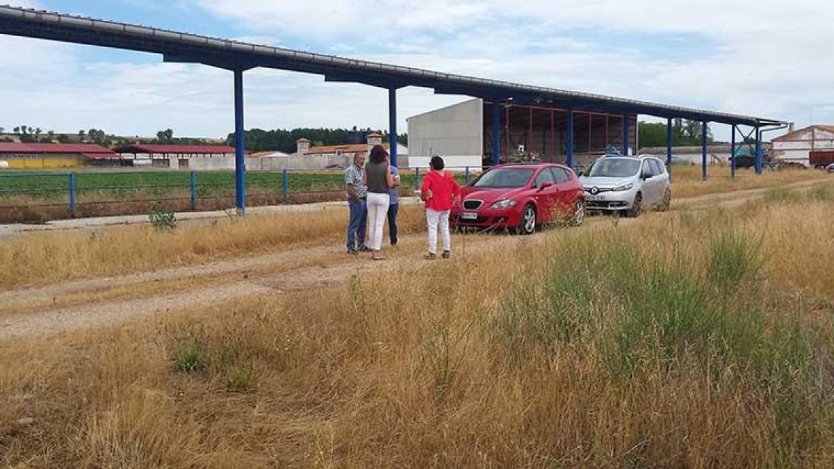 Quintanilla del Agua cuenta con uno de los proyectos en marcha con apoyo de Adecoar, centrado en la patata.-ECB