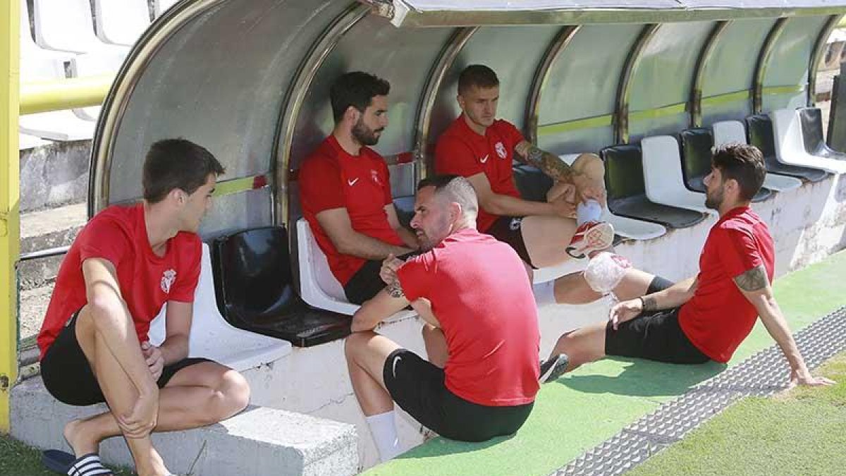 Aitor Córdoba, Goti, Andrés, Julio Rico y Borja Sánchez, ayer en uno de los banquillos de El Plantío.-RAÚL G. OCHOA