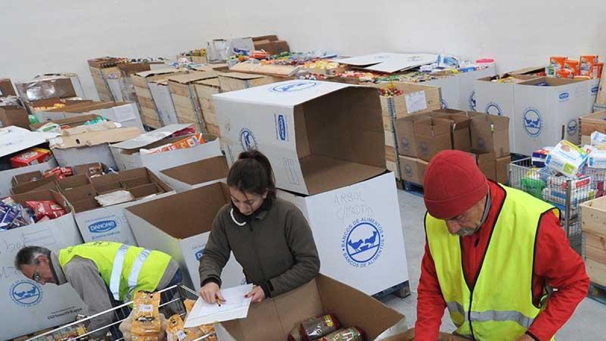 Voluntarios en la sede de Banco de Alimentos, una de las ONG que más colaboradores moviliza al cabo del año.-RAÚL G. OCHOA