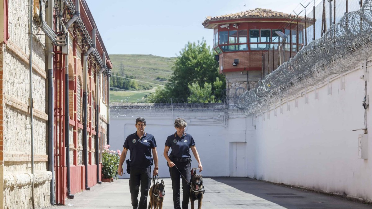 Marcial Rubio y Belén García, con Cross y Sasha, dos pastores belgas. SANTI OTERO