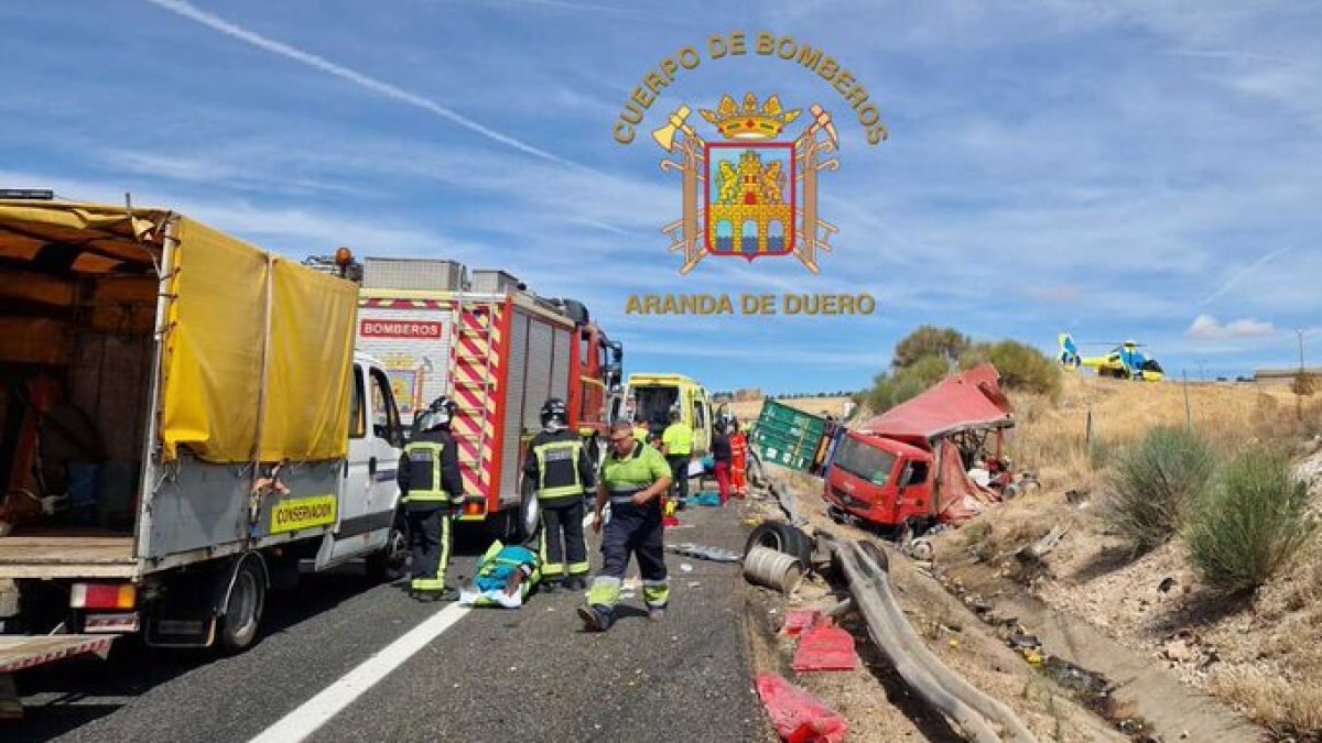 Los bomberos de Aranda acudieron a su auxilio