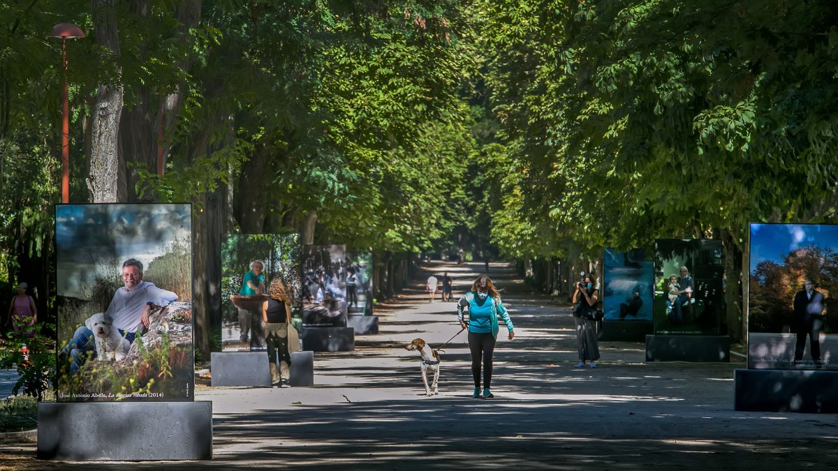 Las veinte imágenes se pueden contemplar en el Paseo de la Isla.  TOMÁS ALONSO