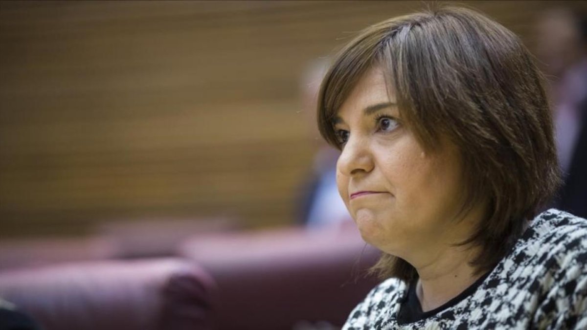 La presidenta del PP valenciano, Isabel Bonig, en su escaño de las Corts Valencianes.-MIGUEL LORENZO