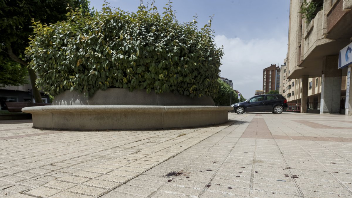 Lugar en el que falleció un hombre de 50 años tras ser agredido por dos jóvenes en junio. SANTI OTERO