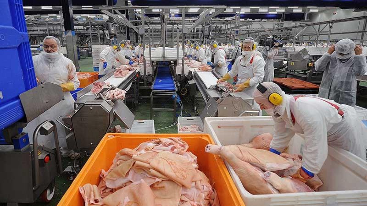 Trabajadores en la cadena de producción de Cárnicas Selectas 2000.-ISRAEL L. MURILLO