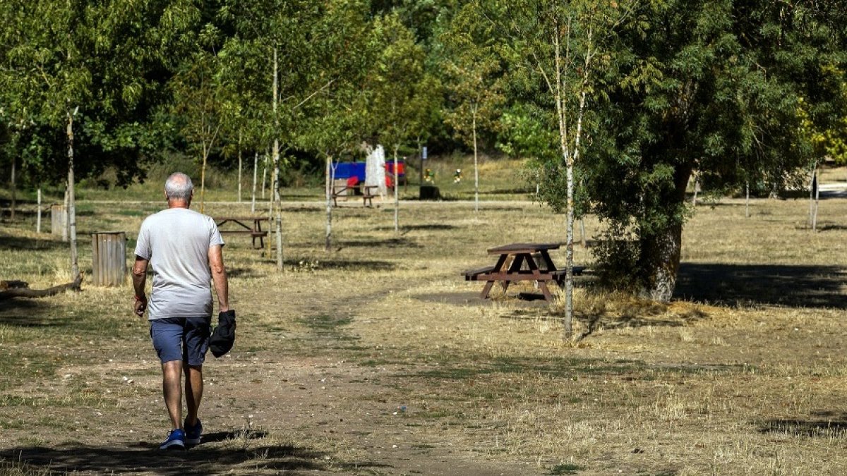 Un hombre pasea por Fuentes Blancas, el pulmón verde de Burgos. TOMÁS ALONSO