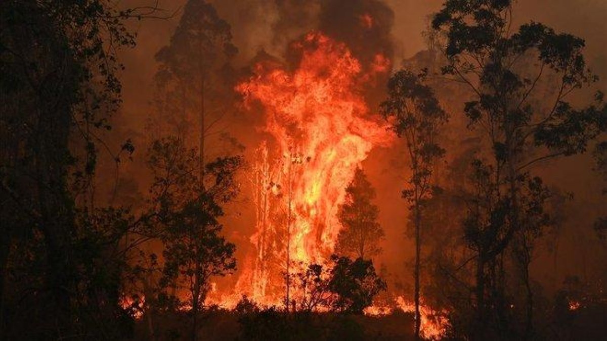 Imagen del incendio en Bobin, a 350 km al norte de Sydney-AFP