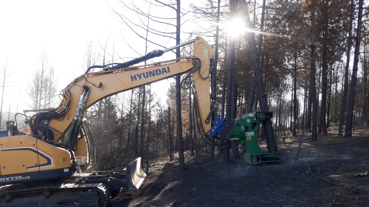 Extracción de madera en la zona afectada por el incendio. JCYL