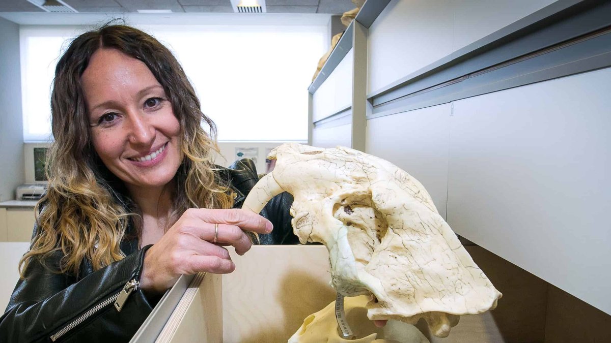 Noemí Sala es la directora del proyecto Death Revol y quien aplica tecnología forense a los huesos de la Sima en Atapuerca. TOMÁS ALONSO
