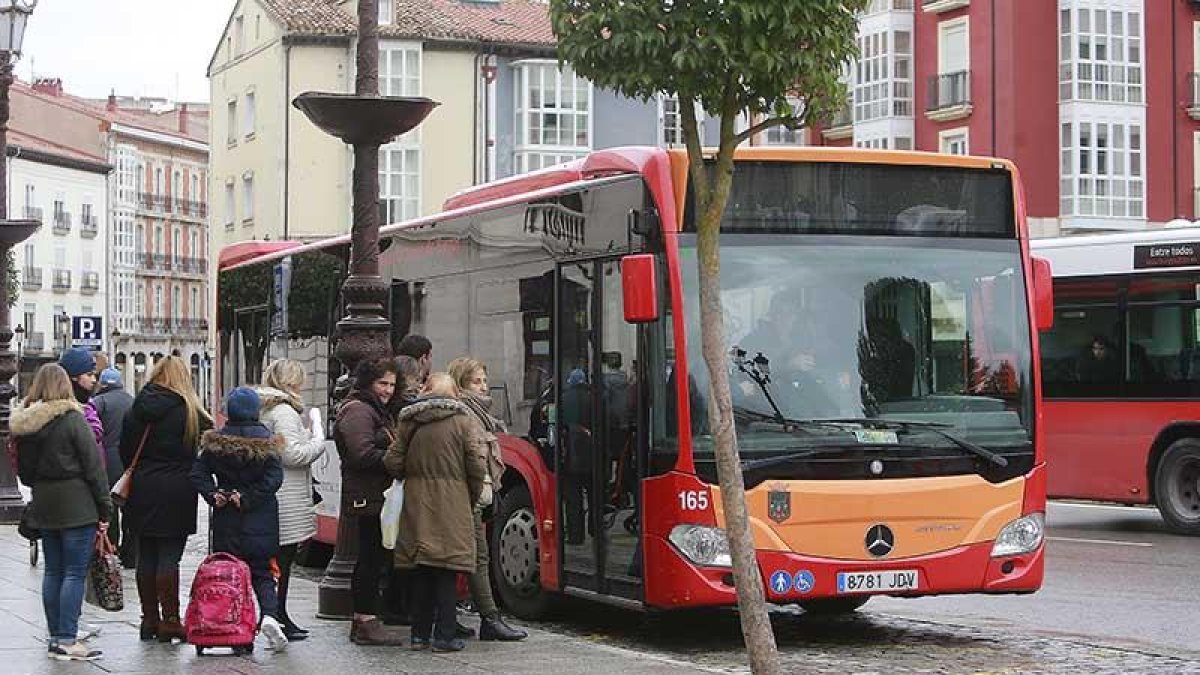 Los cinco nuevos autobuses urbanos se incorporarán a la circulación en el primer semestre del próximo año.