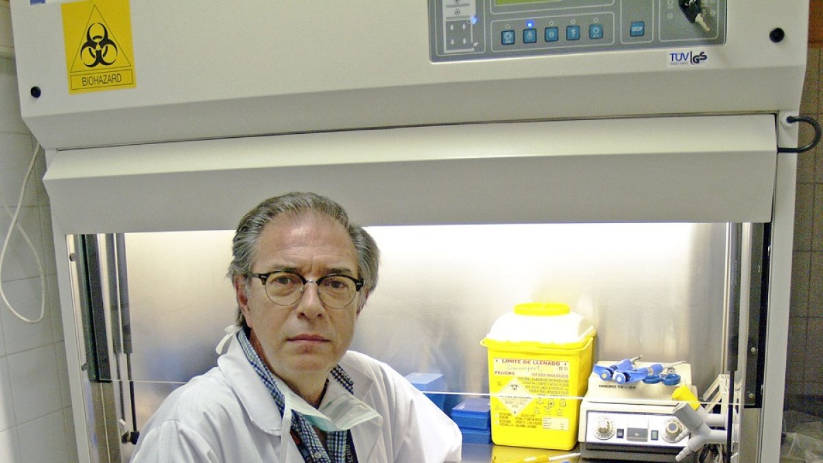 Juan Luis Muñoz Bellido, jefe de Servicio de Microbiología del Complejo Asistencial Universitario de Salamanca.