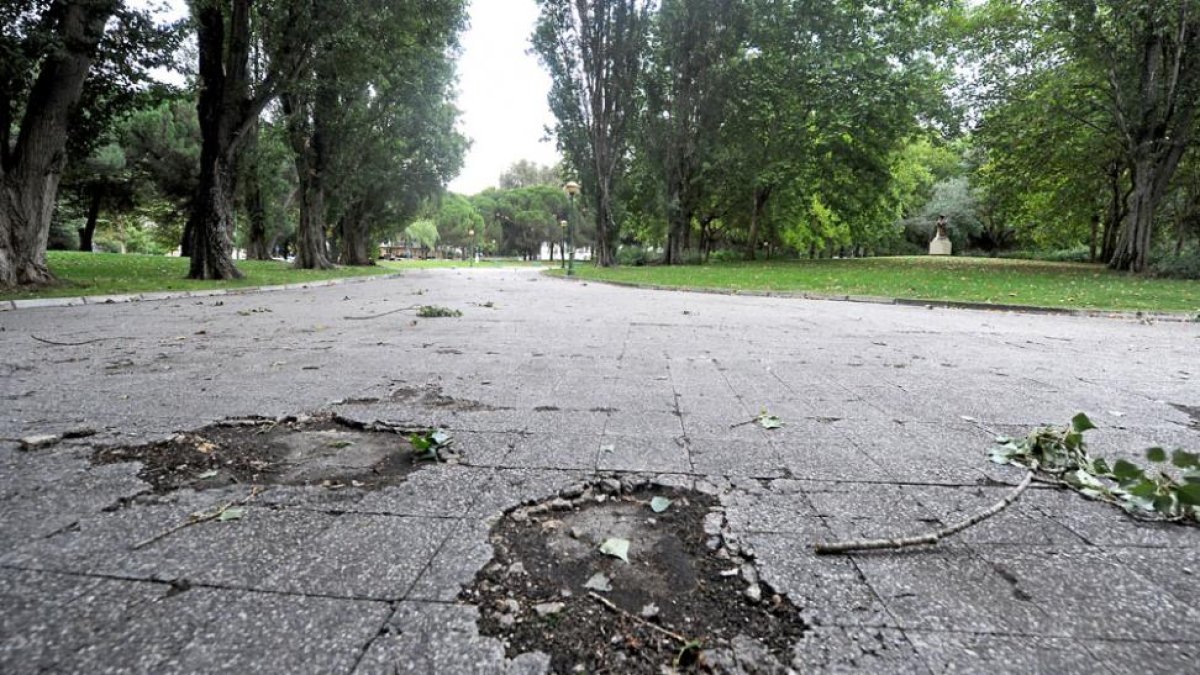 El estado de abandono actual dará paso a una intervención con la que se colocarán bancos y papeleras, especialmente en la plaza central, y una pérgola de sombra en madera tratada.-ISRAEL L. MURILLO