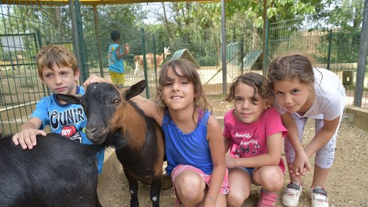 Actividades verano CaixaProinfancia. ECB