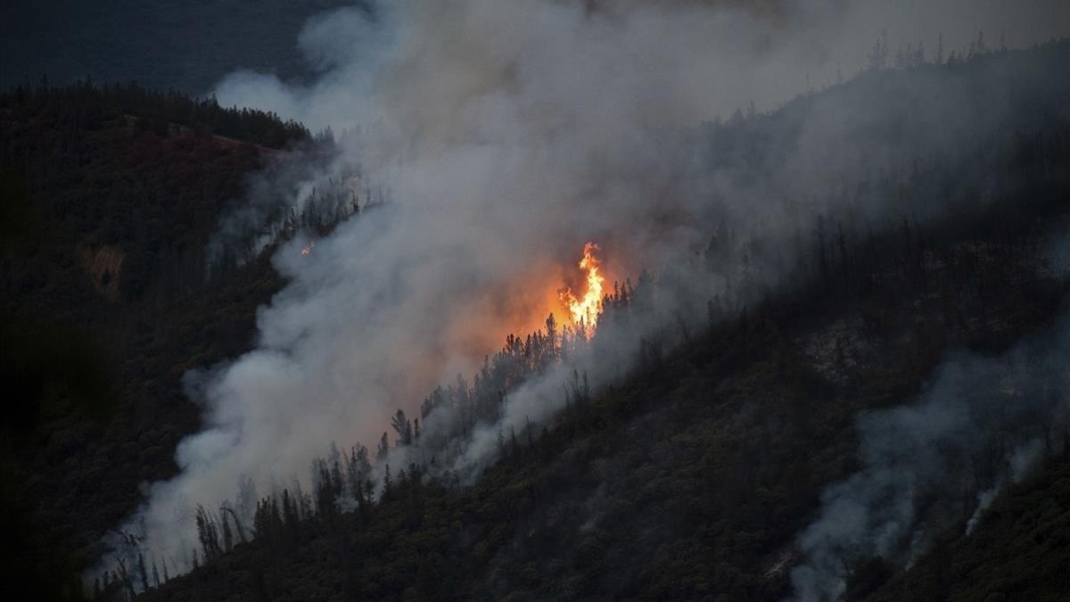 El fuego que arrasa una zona boscosa cerca del parque de Yosemite-NOAH BERGER (AP)