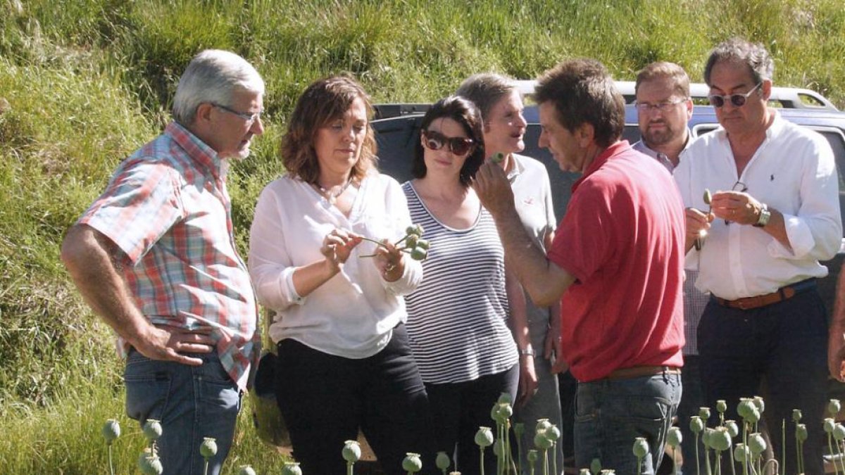 La consejera con candidatos del PP, durante su visita a un cultivo de adormidera.-G. González