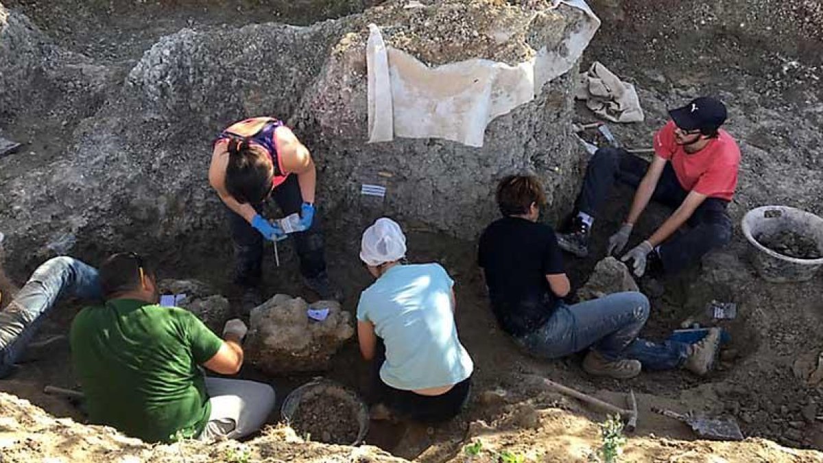 Las excavaciones han resultado mucho más fructíferas de lo que inicialmente se esperaba.-CAS DE SALAS