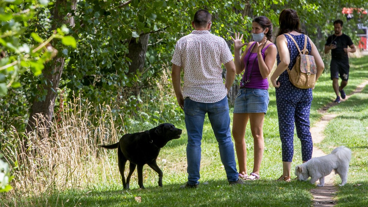 Varias personas pasean a sus perros por la orilla del río en la capital burgalesa. SANTI OTERO