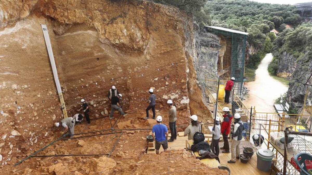 Primer grupo de excavadores preparando la infraestructura de trabajo en el nivel superior de Gran Dolina.-RAÚL G. OCHOA