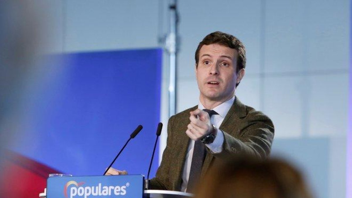 Casado, en una imagen reciente.-
