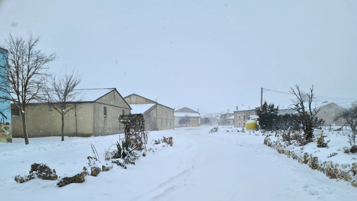 Así están hoy los accesos a Sargentes de la Lora. ECB