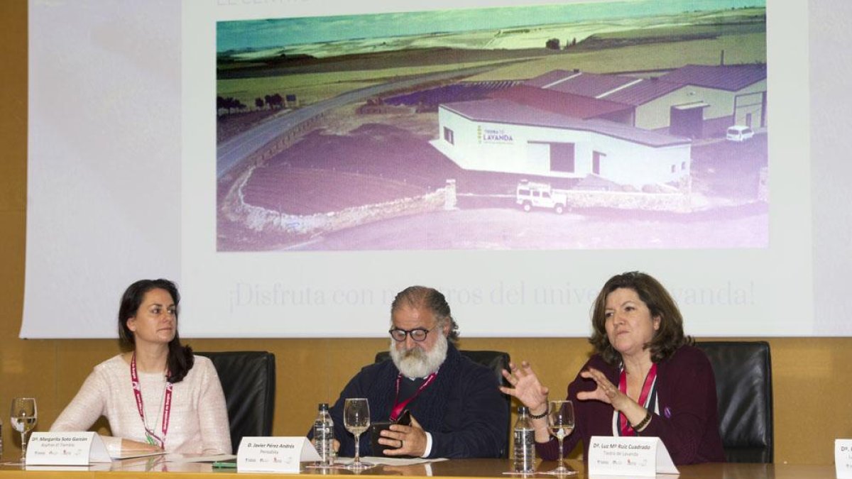 La jornada se celebró en el Salón de Grados del campus de la Milanera de la UBU.-ISRAEL L. MURILLO