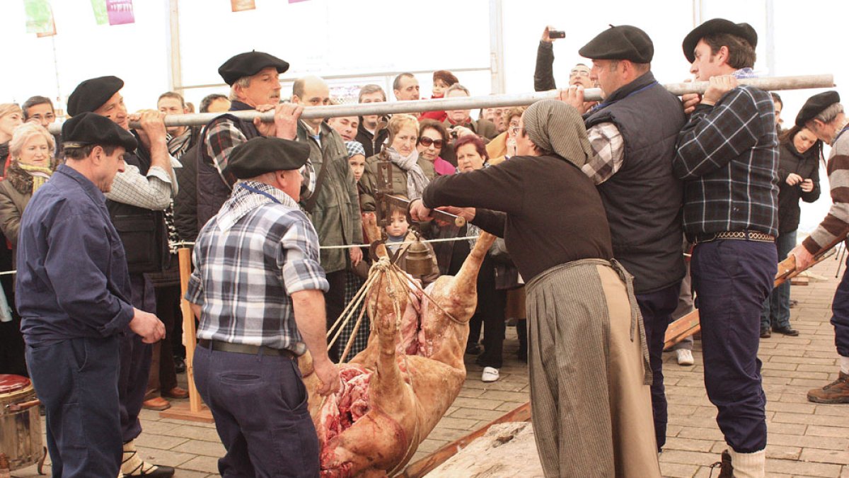 Valle de Mena rememora la matanza tradicional del cerdo. ECB