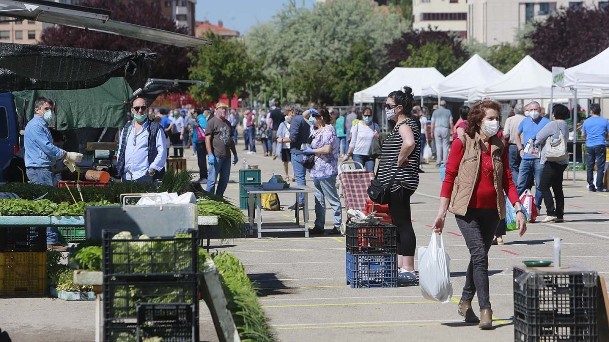 Varias personas compran en el mercadillo hortofrutícola de Las Torres durante la pandemia. / ECB