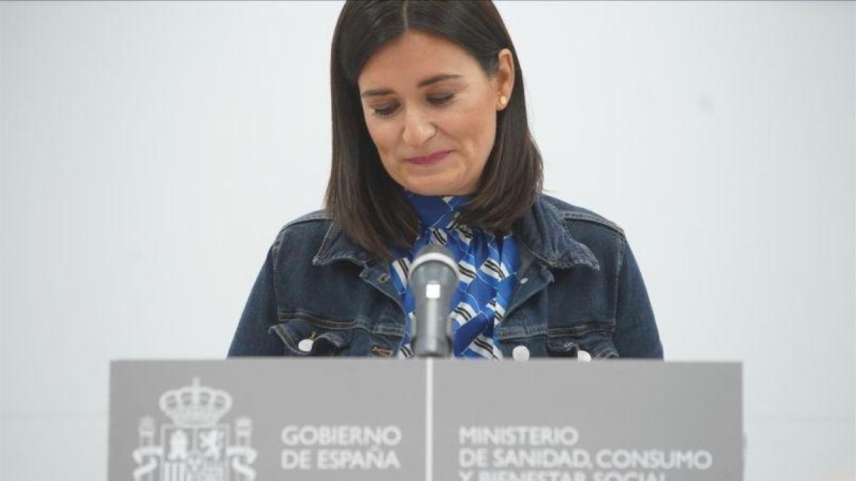 Carmen Montón ministra de Sanidad, en la rueda de prensa anunciando su dimisión.-JOSE LUIS ROCA