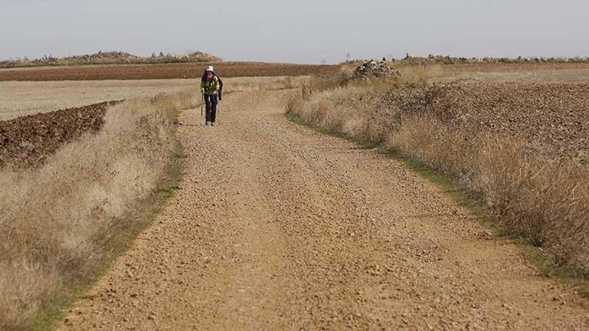 Un peregrino recorre el Camino Francés a escasos kilómetros de Castrojeriz.-RAÚL G. OCHOA