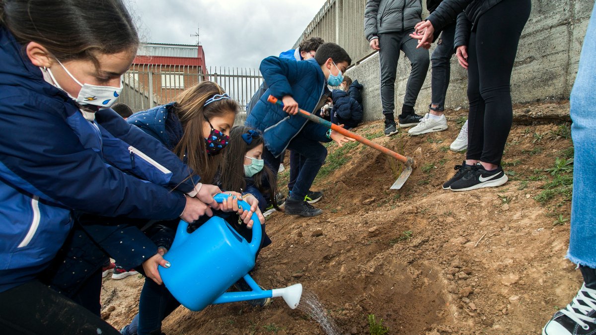 Alumnos del Liceo Castilla realizan la plantación de árboles en el nuevo espacio del colegio. SANTI OTERO