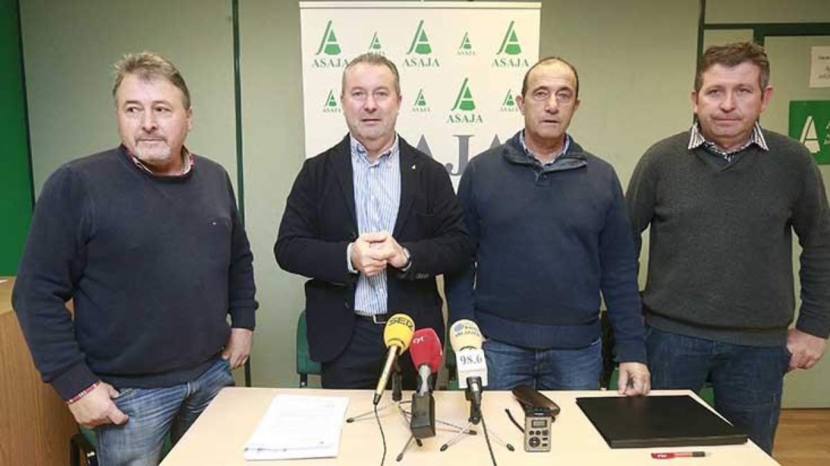 José Luis Alonso, Donaciano Dujo, Santiago Carretón y José Luis Arribas denunciaron ayer en la sede de Asaja la «competencia desleal» que sufre el lechazo.-RAÚL G. OCHOA