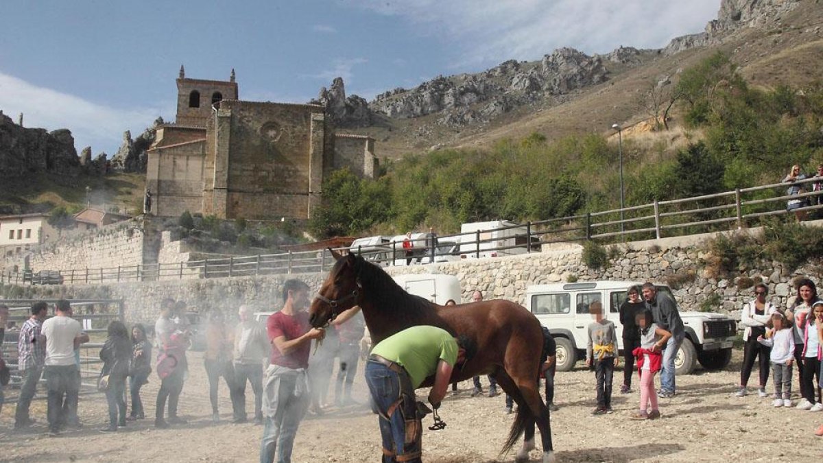 La V Feria del Caballo Losino de Pancorbo atrajo a más de un millar de visitantes.-G. G.