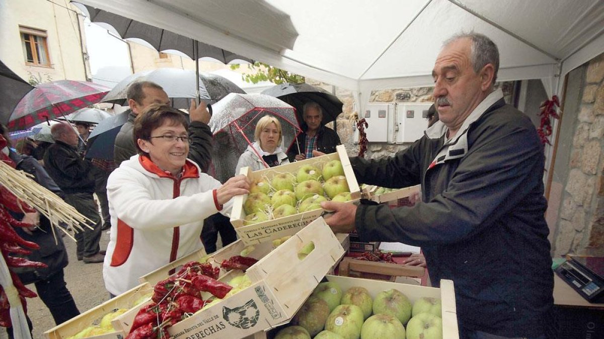 Armados con paraguas, los visitantes adquirieron la sabrosa fruta, la cual se va abriendo paso en el mercado nacional.-G. G.