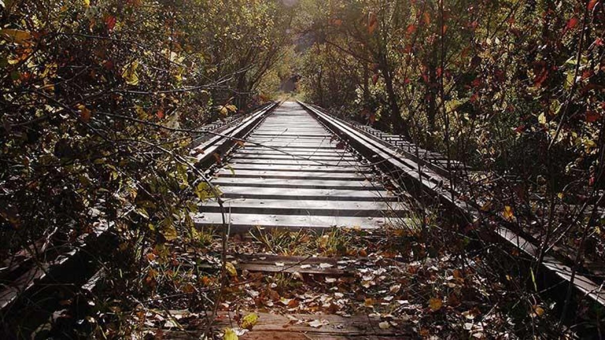 La antigua traza ferroviaria afronta su proceso de recuperación.-G.G.